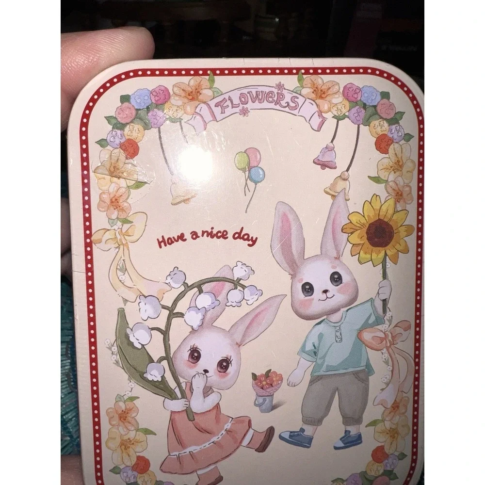 Kawaii Pastel Bunny Picnic Metal Tin Box Red Storage Case Cottagecore Cute New